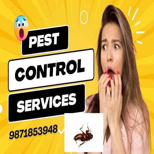 cockroaches pest control
